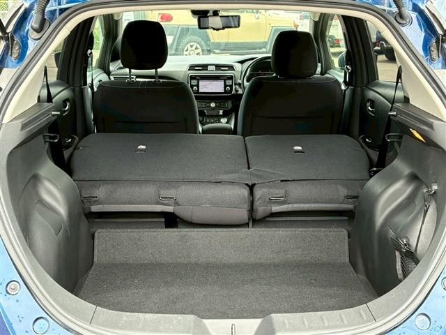 LEAF