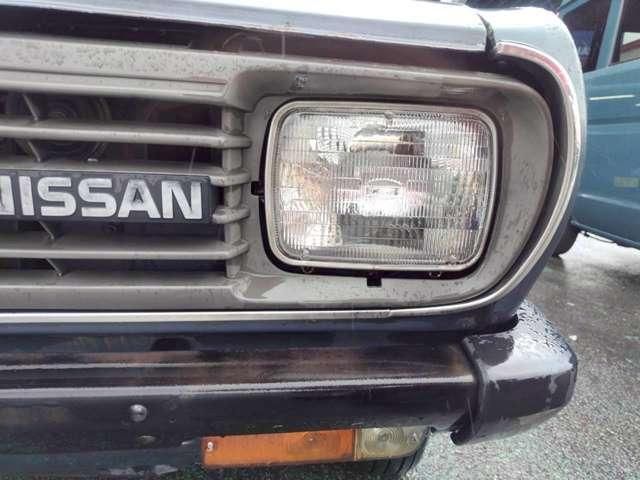 SUNNY truck