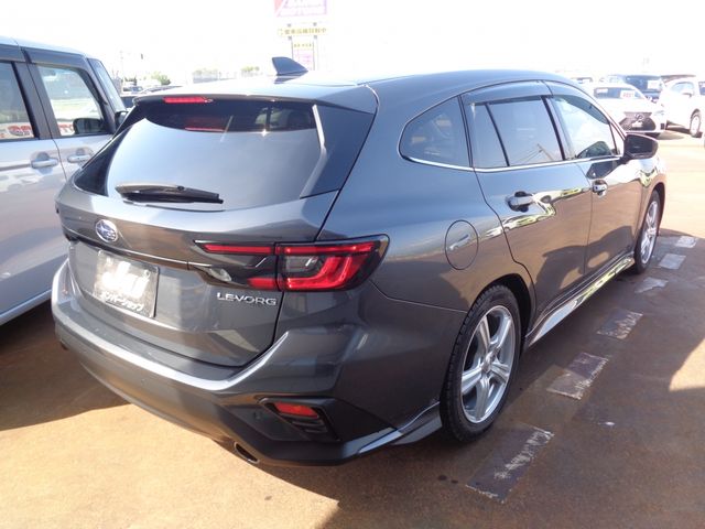 LEVORG