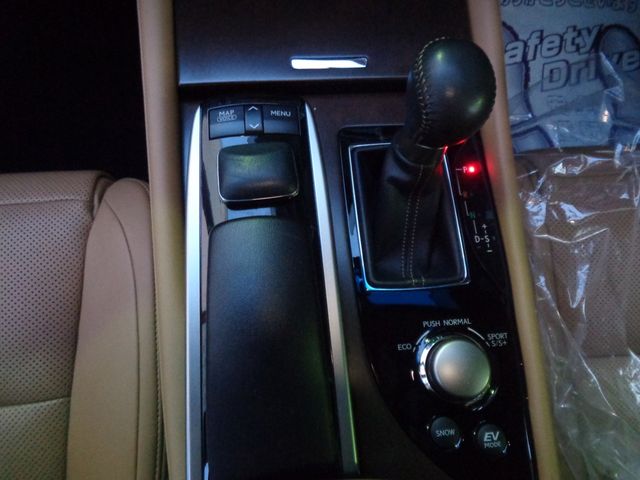 LEXUS GS300h