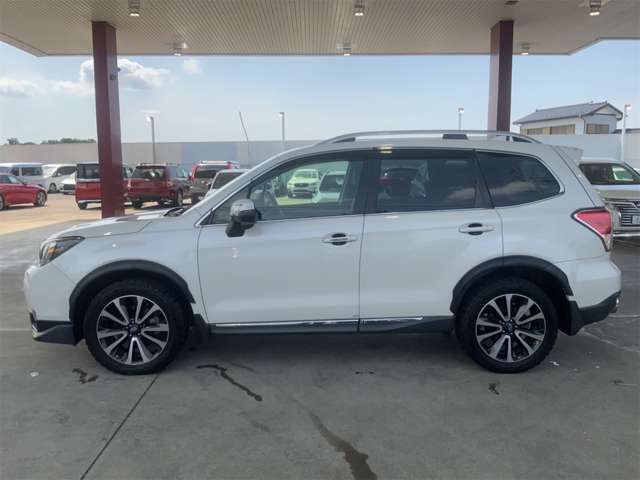 FORESTER