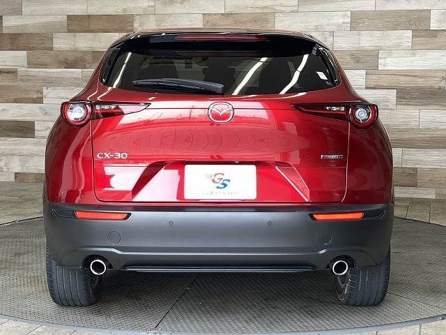 CX-30
