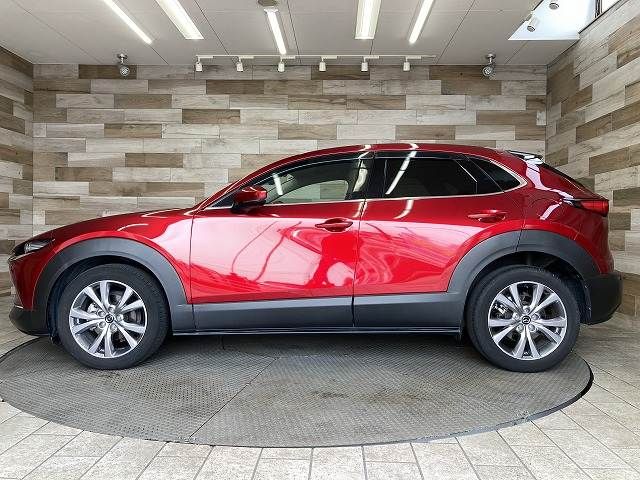 CX-30