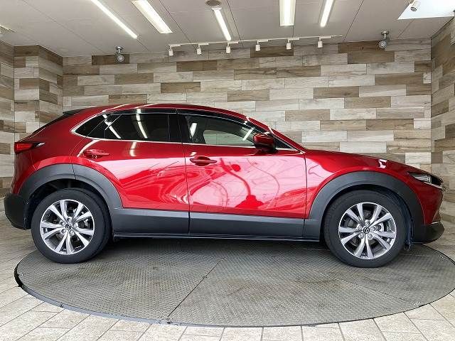 CX-30