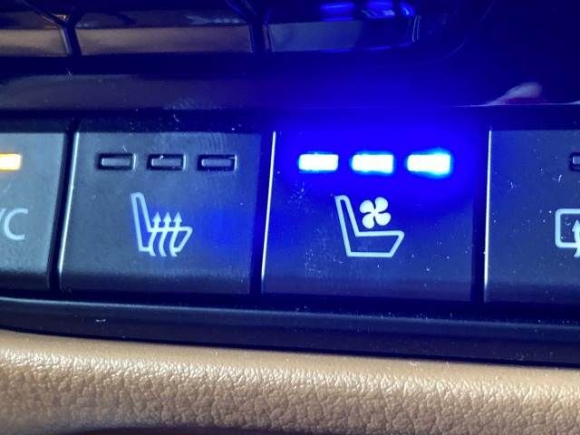 CX-60