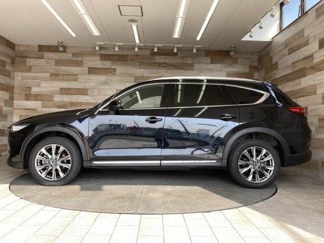 CX-8