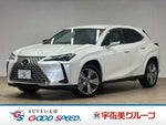 LEXUS UX250h AWD