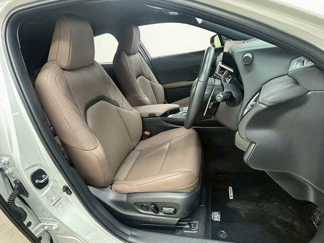LEXUS UX250h AWD
