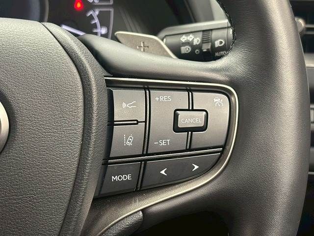 LEXUS UX250h AWD
