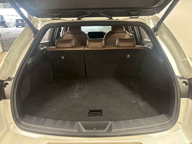 LEXUS UX250h AWD