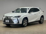 LEXUS UX250h AWD