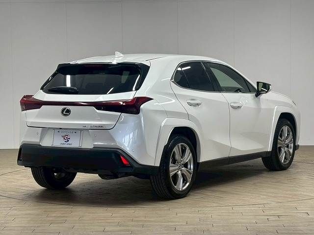 LEXUS UX250h AWD