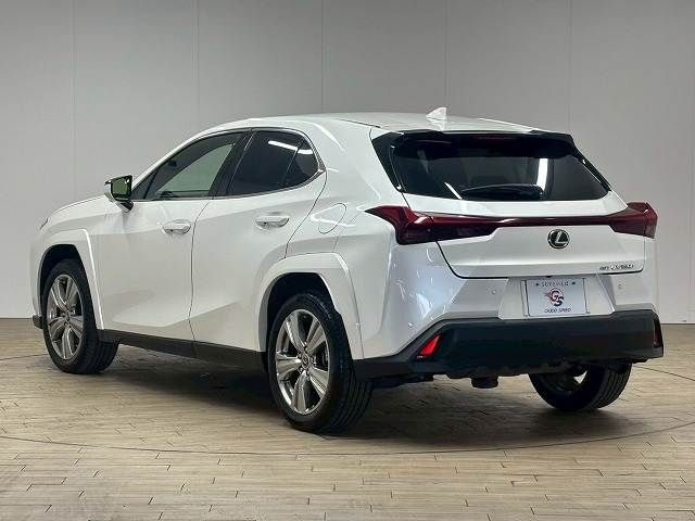 LEXUS UX250h AWD