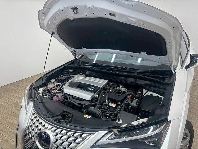 LEXUS UX250h AWD