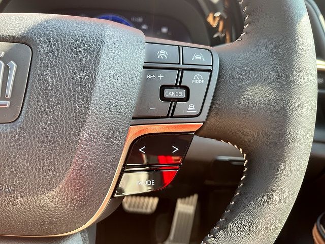 CROWN SPORT