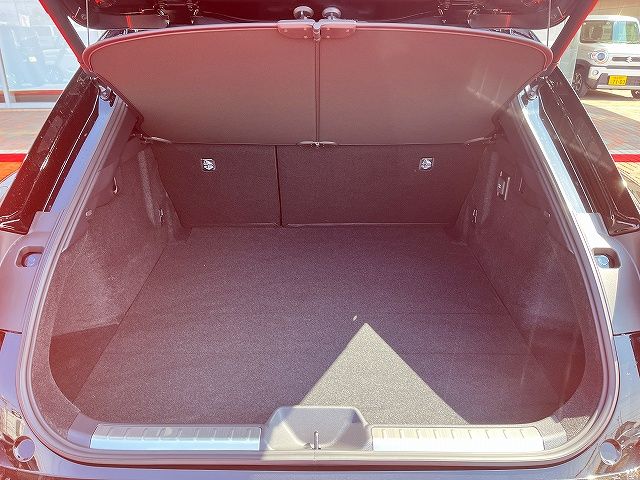CROWN SPORT