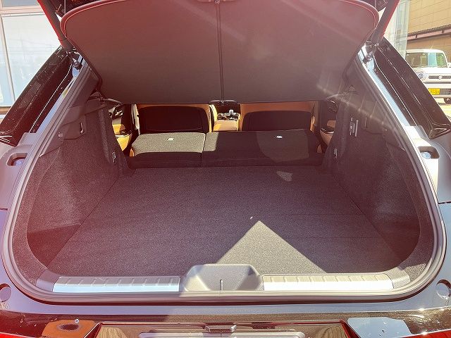 CROWN SPORT