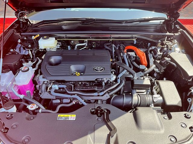 CROWN SPORT