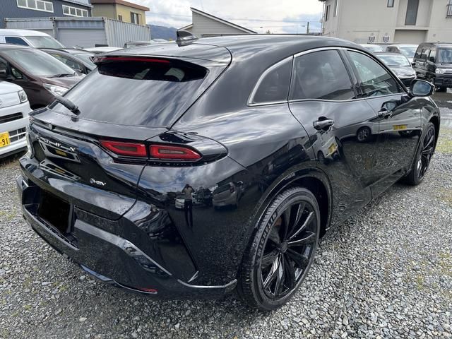 CROWN SPORT