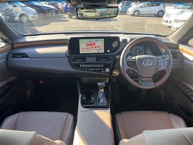 LEXUS ES300h
