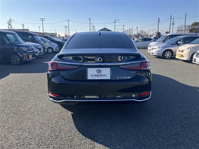 LEXUS ES300h