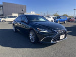 LEXUS ES300h