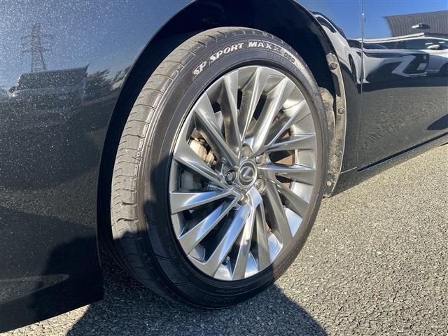 LEXUS ES300h