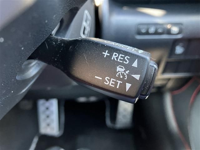 LEXUS RC300h