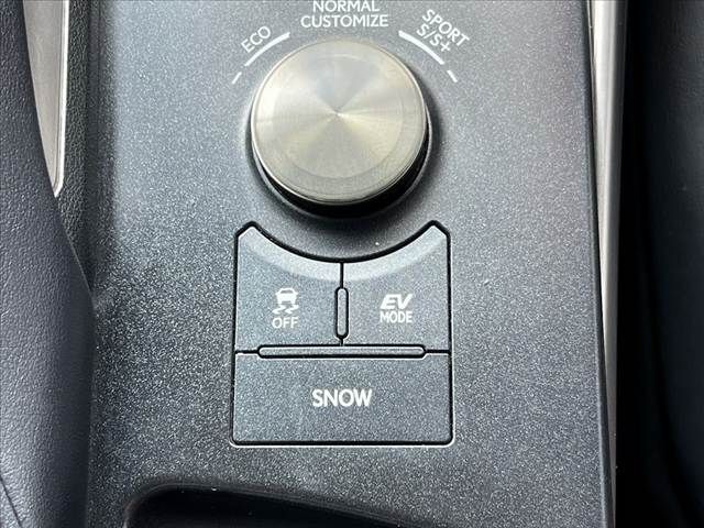 LEXUS IS300h