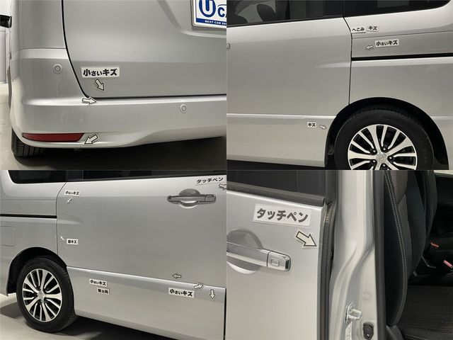 SERENA  S-HYBRID