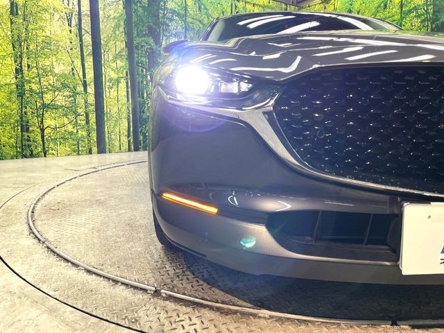 CX-30
