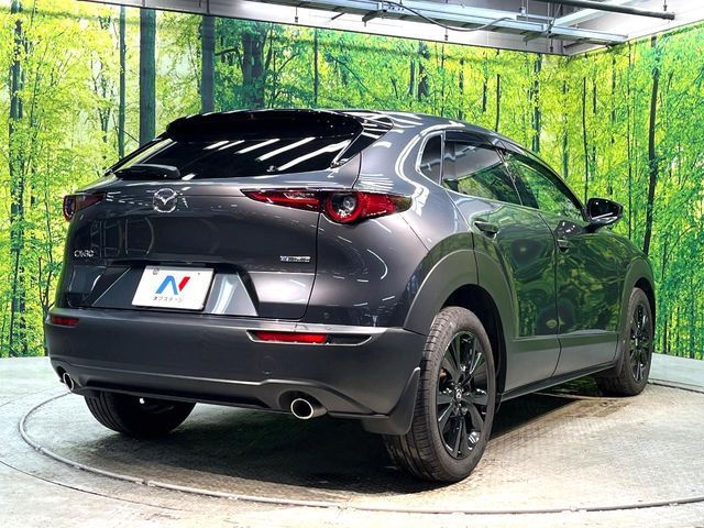 CX-30