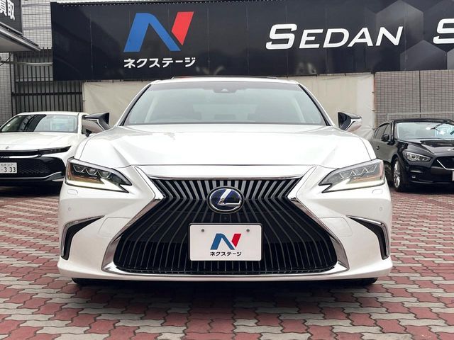 LEXUS ES300h
