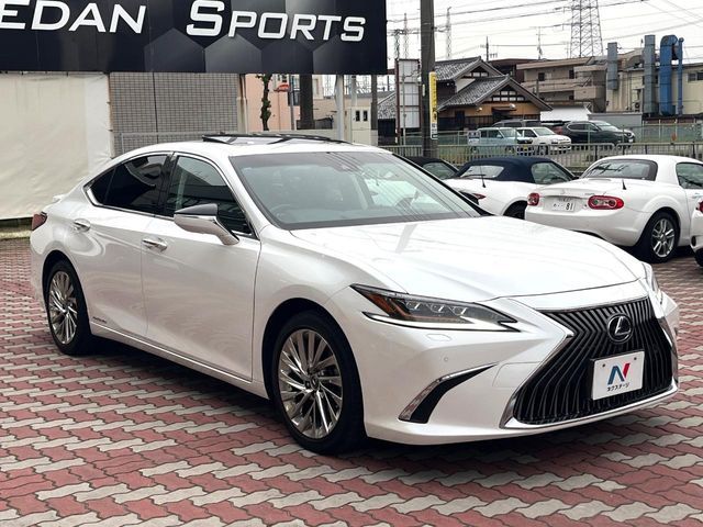 LEXUS ES300h