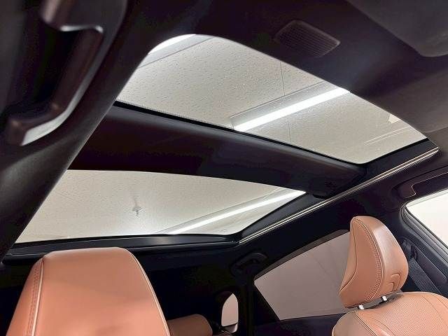 CROWN SPORT