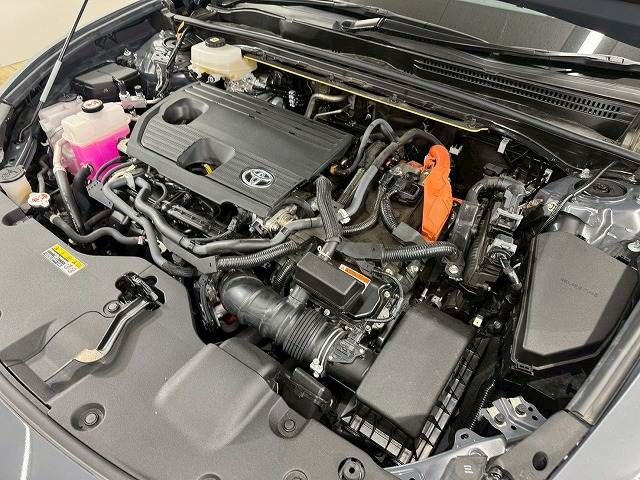 CROWN SPORT