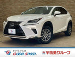 LEXUS NX300h