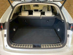 LEXUS NX300h