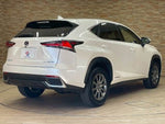LEXUS NX300h