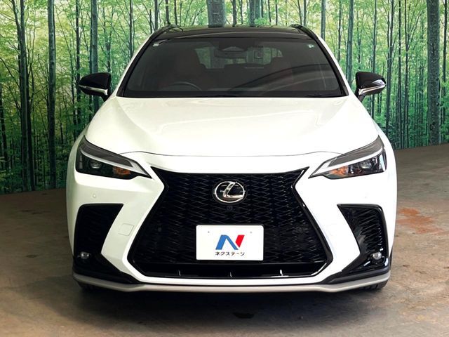 LEXUS NX350h