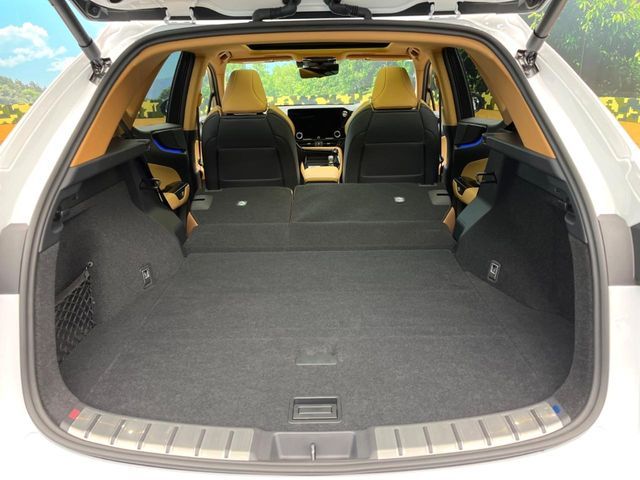 LEXUS NX350h AWD