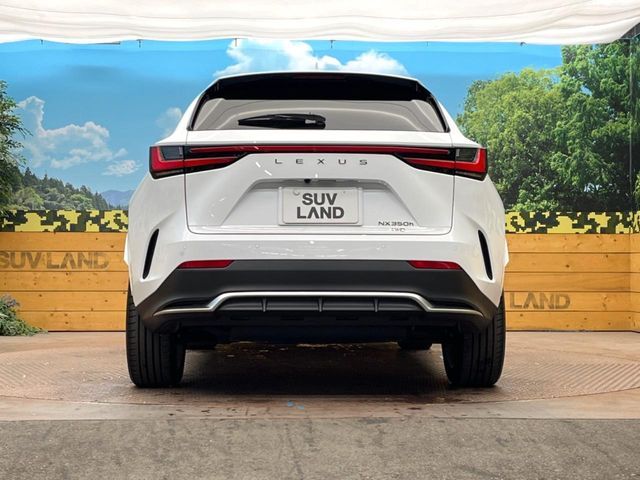 LEXUS NX350h AWD