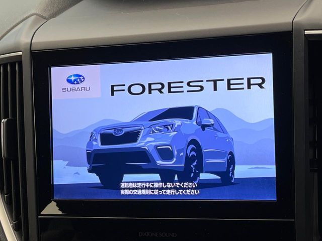 FORESTER