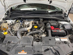 RENAULT LUTECIA