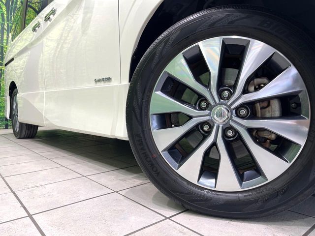 SERENA  S-HYBRID
