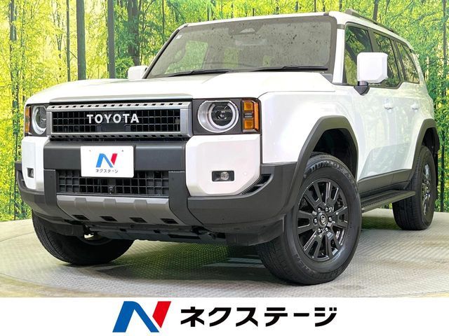 LANDCRUISER 250
