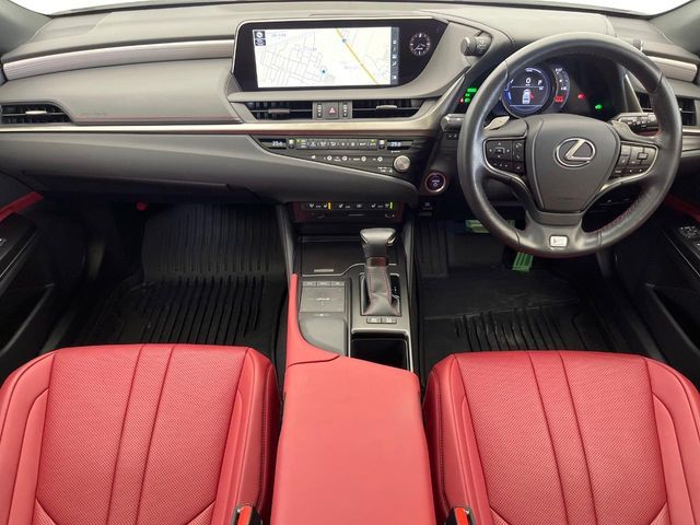 LEXUS ES300h