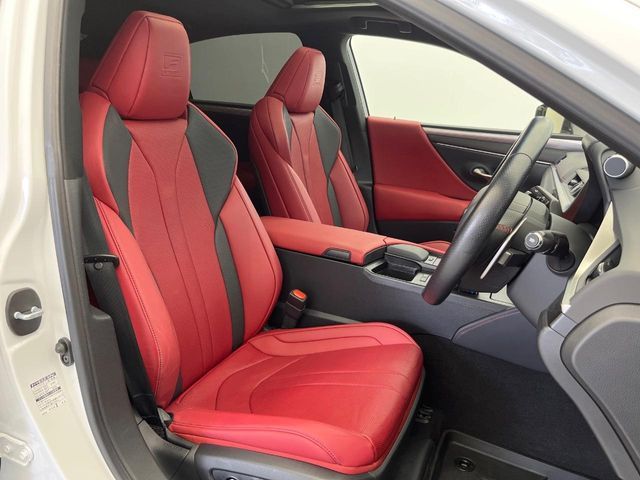 LEXUS ES300h