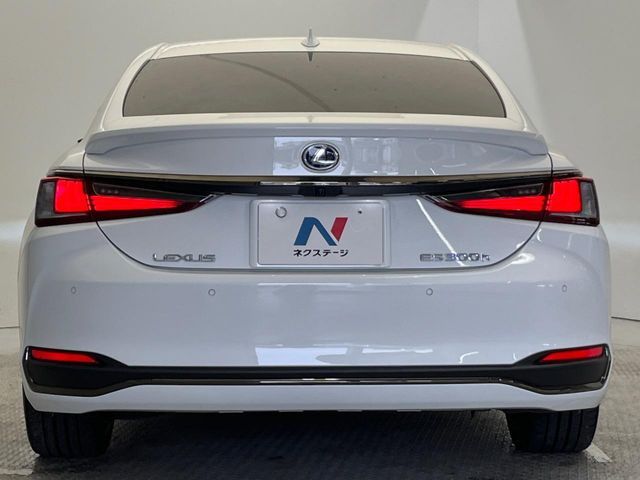 LEXUS ES300h