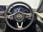ROADSTER